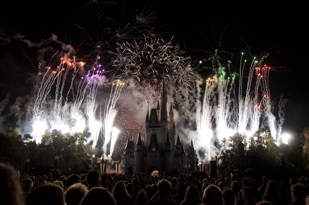 persone che guardano i fuochi d'artificio durante la notte