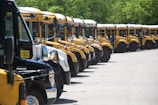 Group of school buses lined up ready for morning routes.