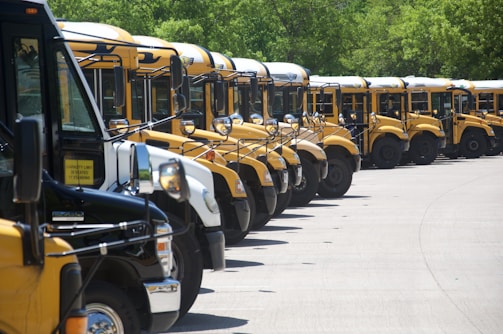 A group of school transport vehicles parked together.