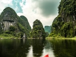 green trees beside body of water during daytime