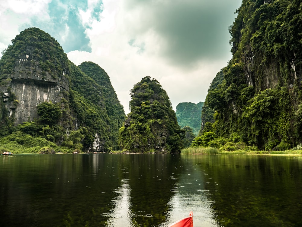 green trees beside body of water during daytime