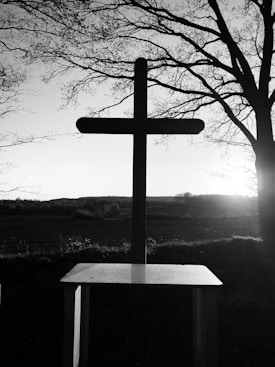 A large wooden cross stands prominently against a backdrop of a scenic landscape. The silhouette of the cross is framed by the branches of bare trees, with the horizon of rolling hills in the background. The setting sun casts a soft glow, creating a serene and contemplative atmosphere.