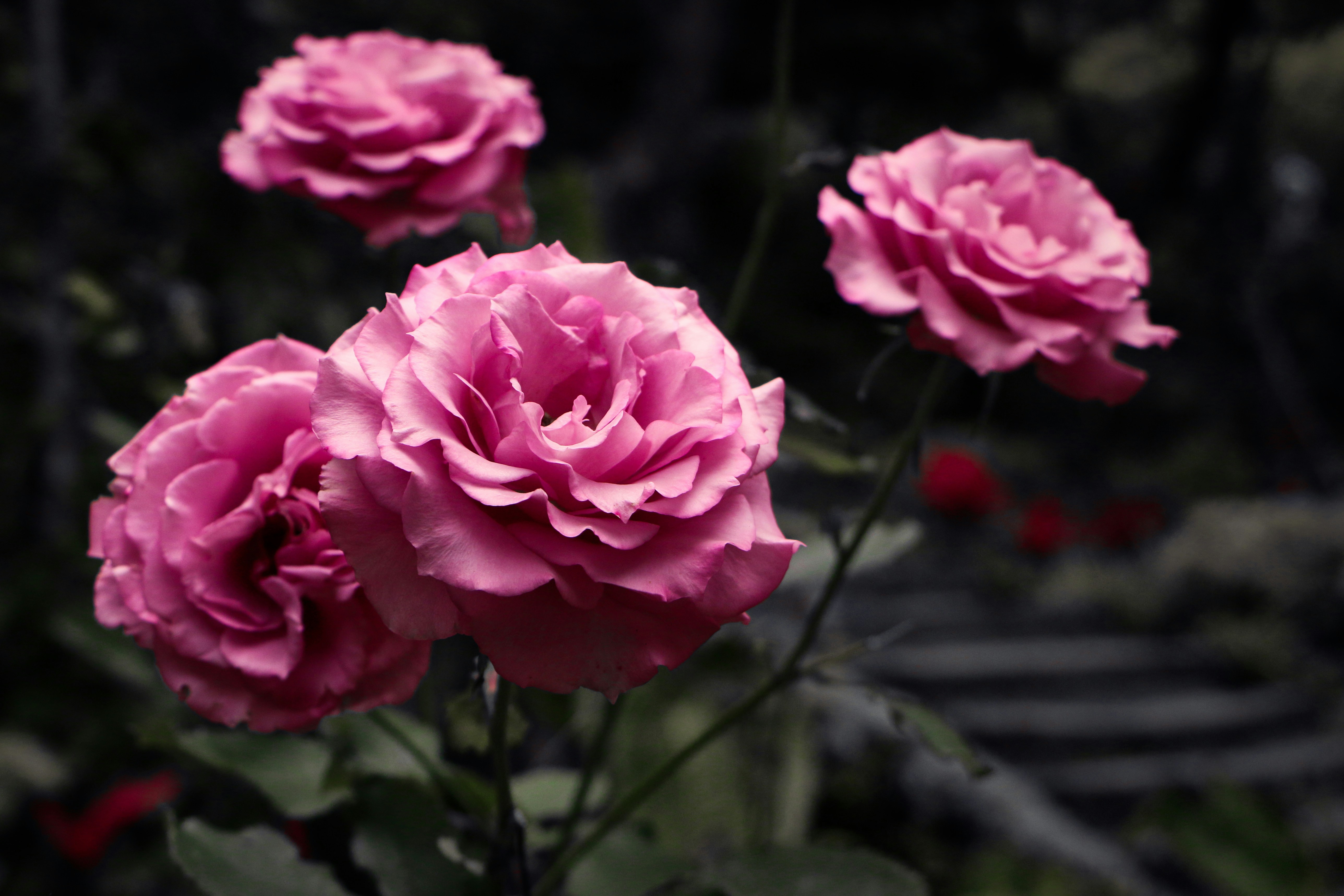 Photo by benjamin_1017