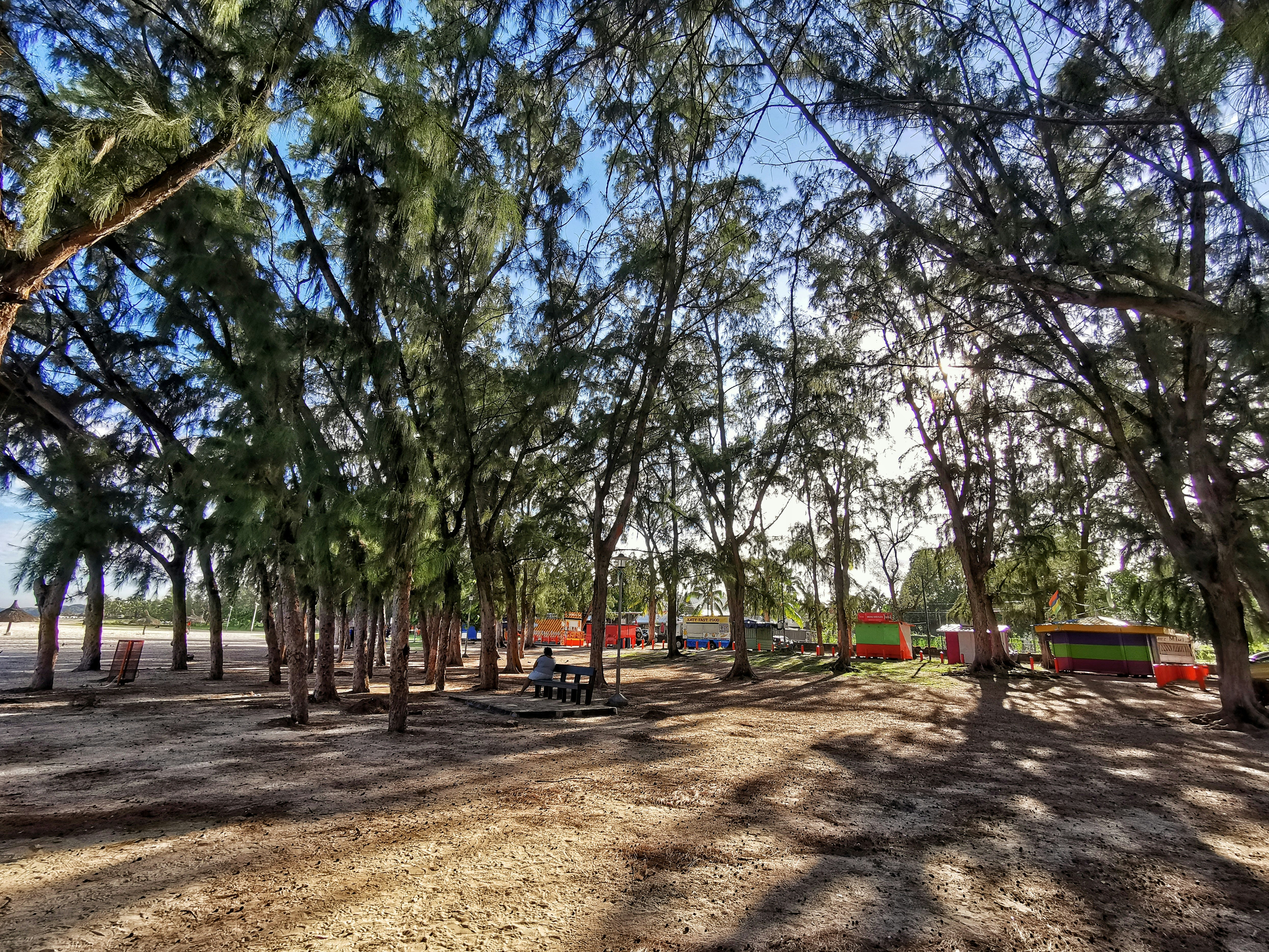 Waimea Bay Beach Park
