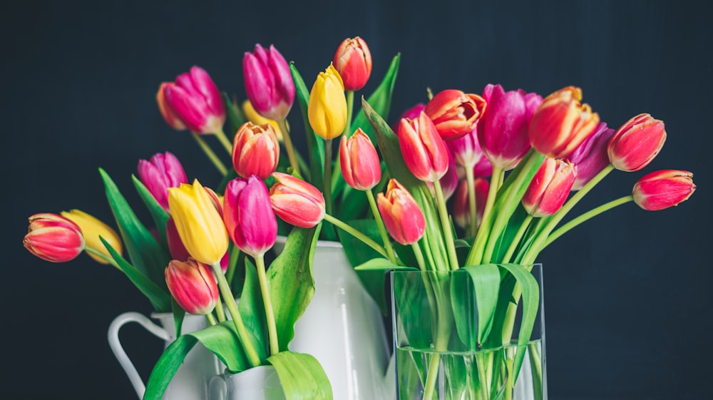 red and yellow tulips in clear glass vase