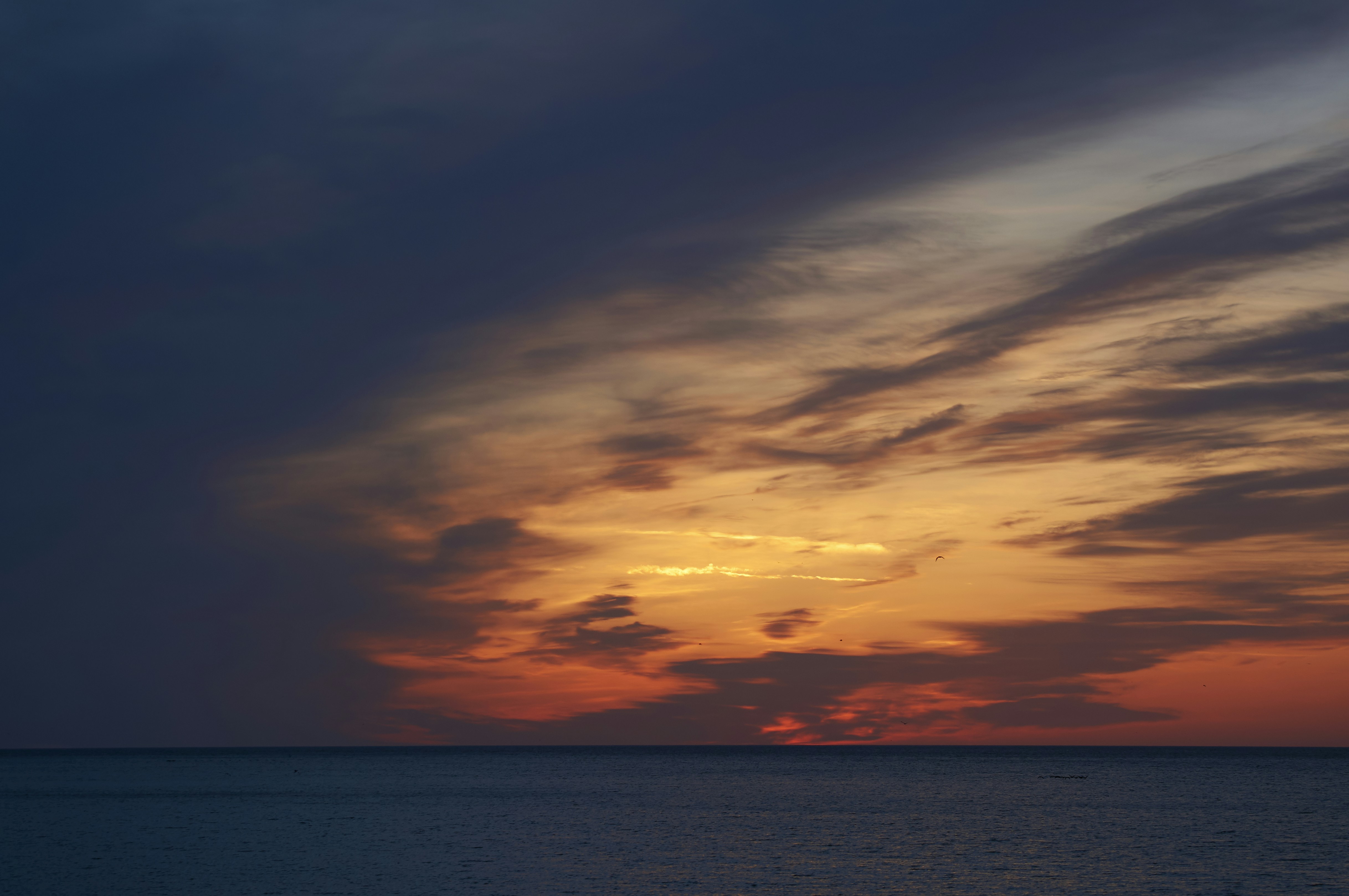 Photo by wolfgang_hasselmann