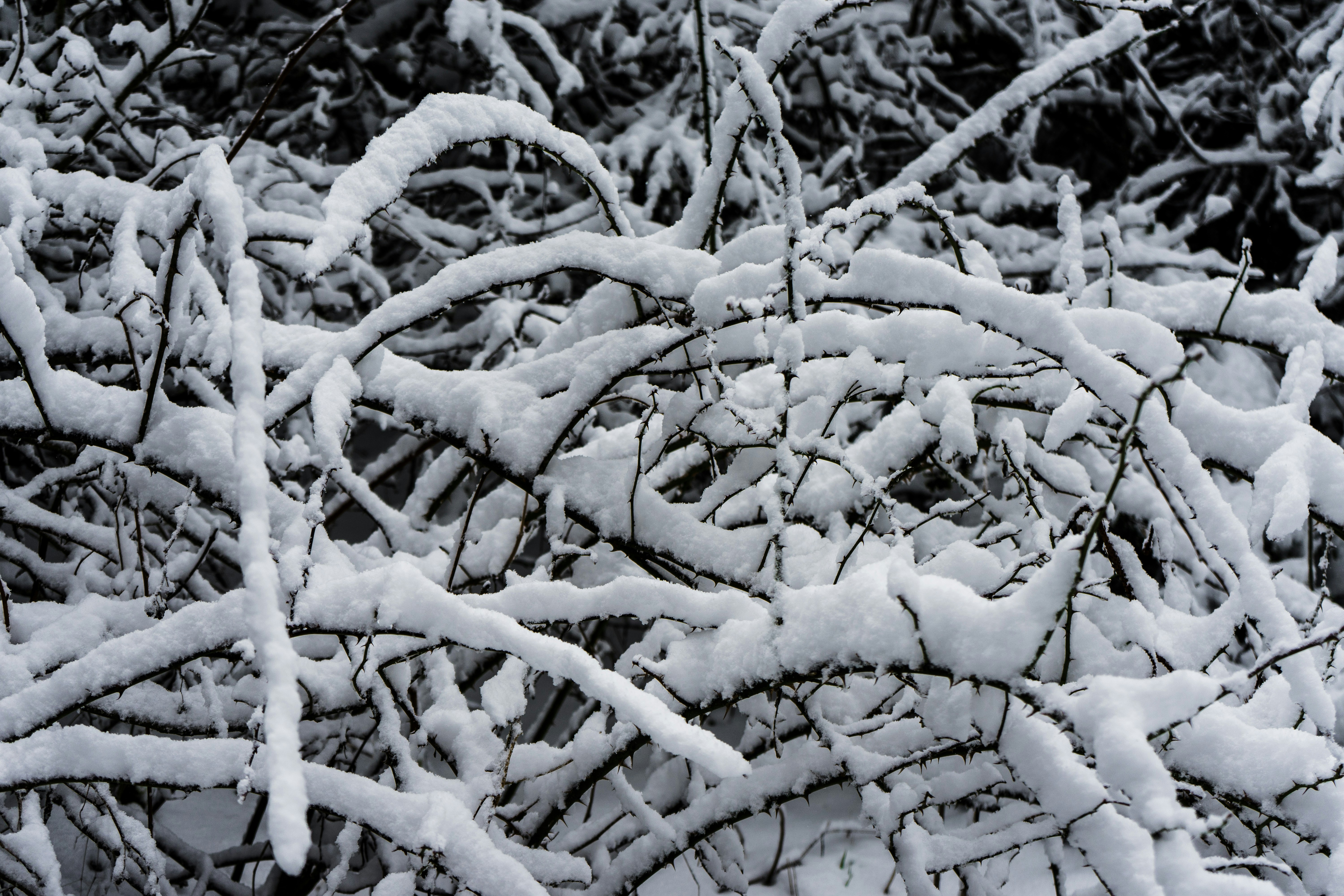 Photo by virussinside