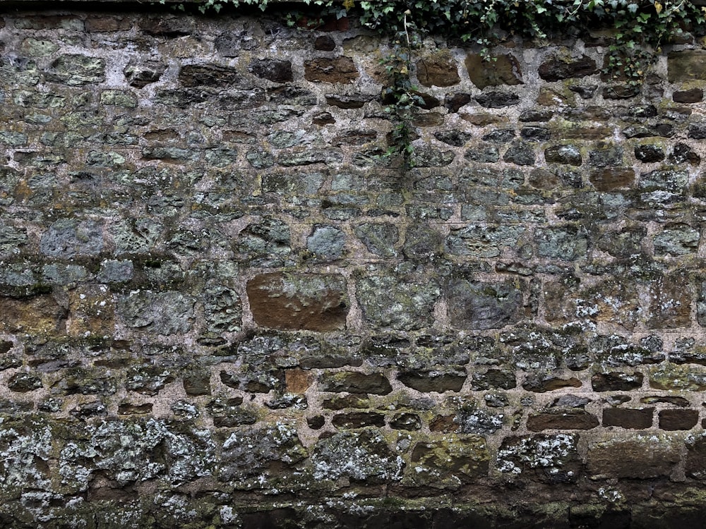 brown and gray brick wall