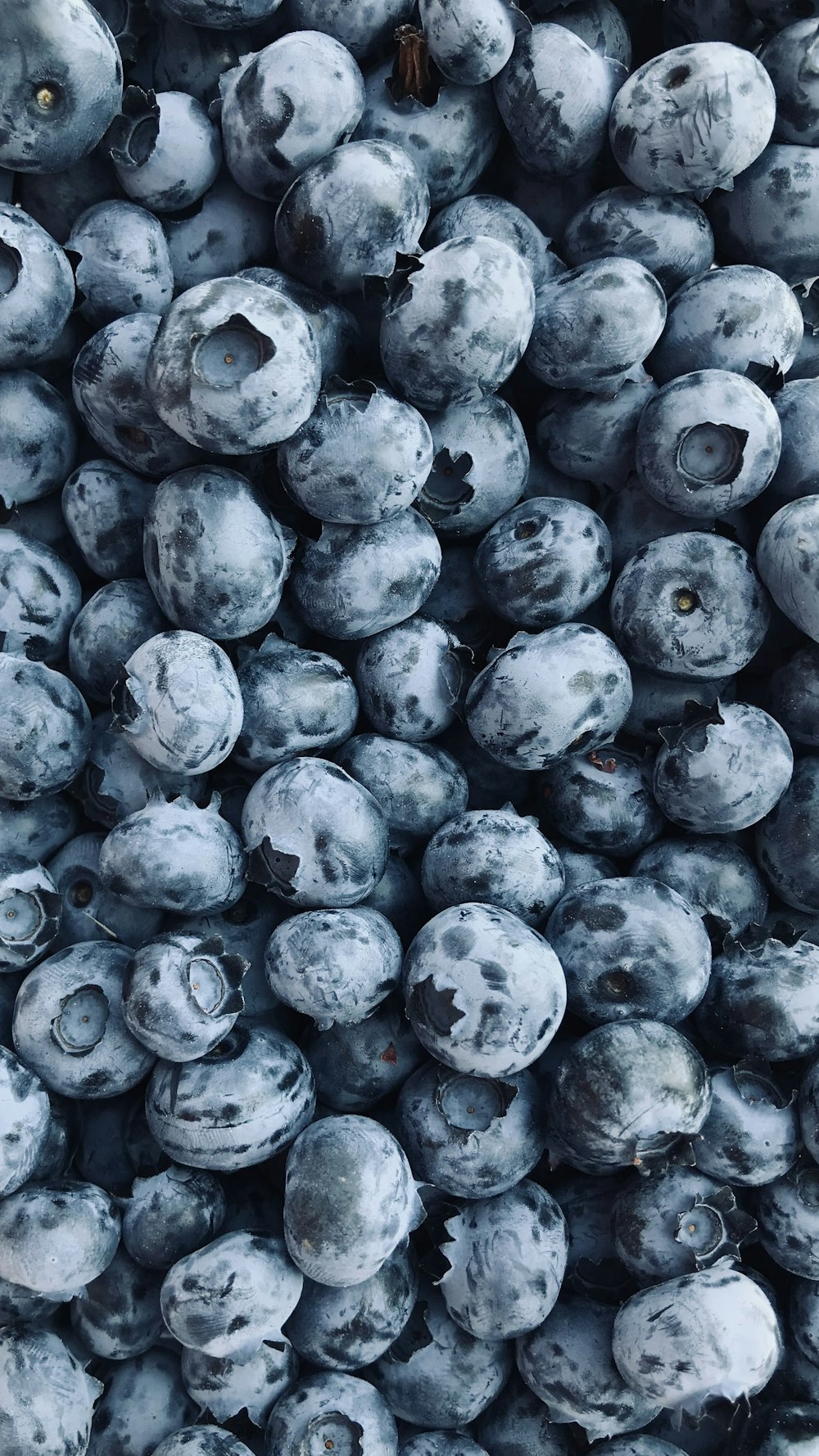 frutos redondos pretos na superfície branca