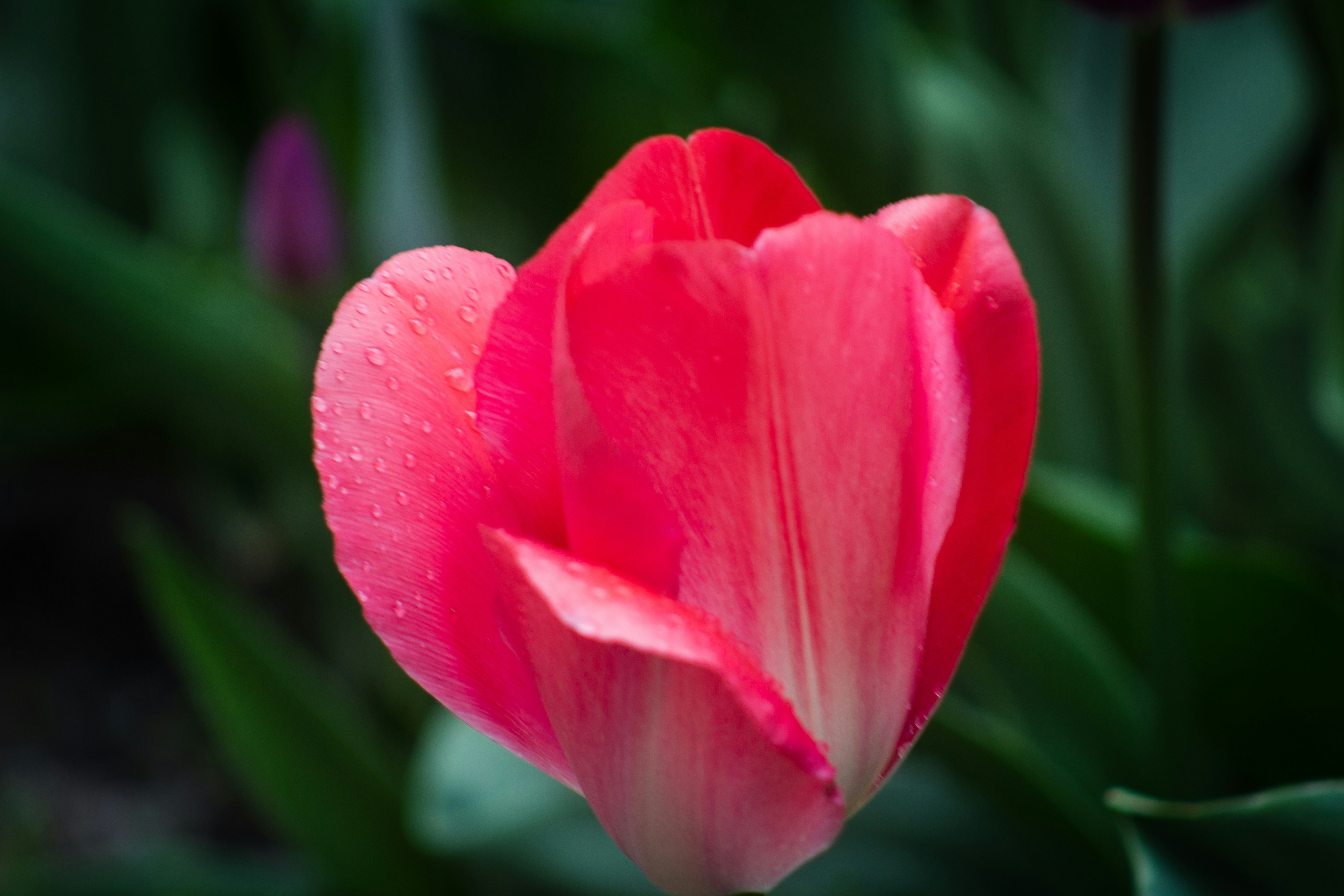 Photo by rstone_design