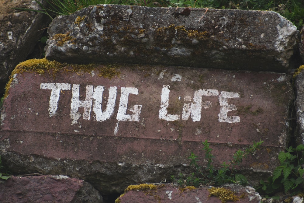 una piedra con las palabras thue life pintadas en ella