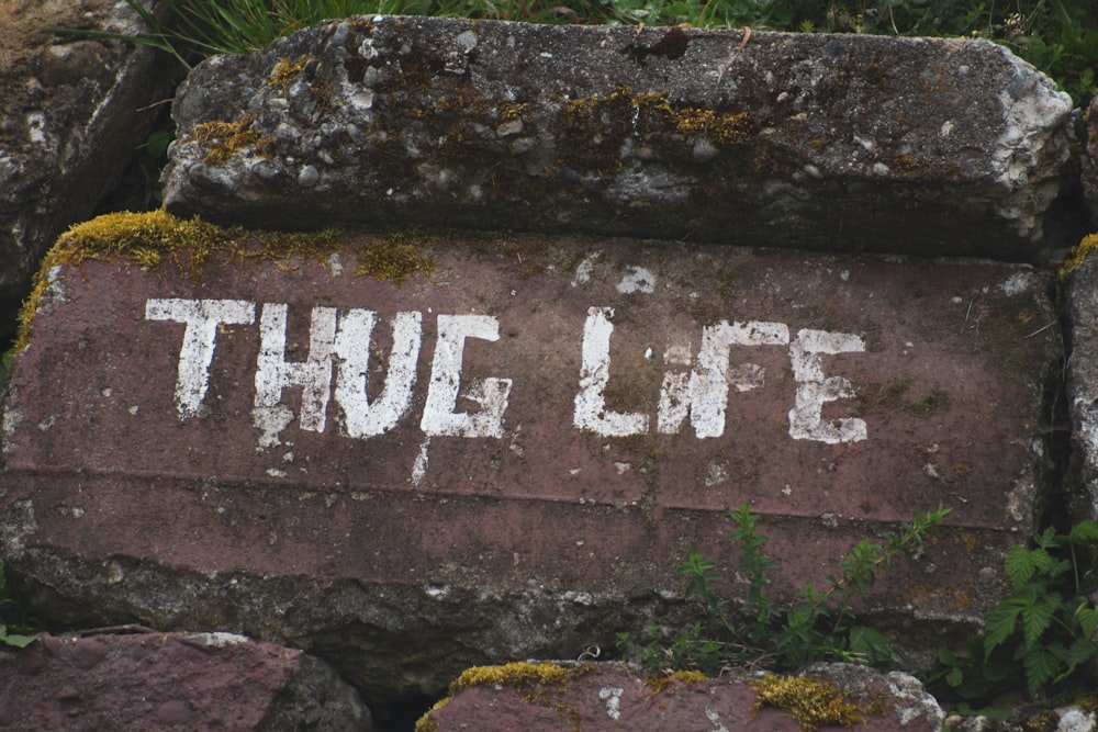 a stone with the words thue life painted on it