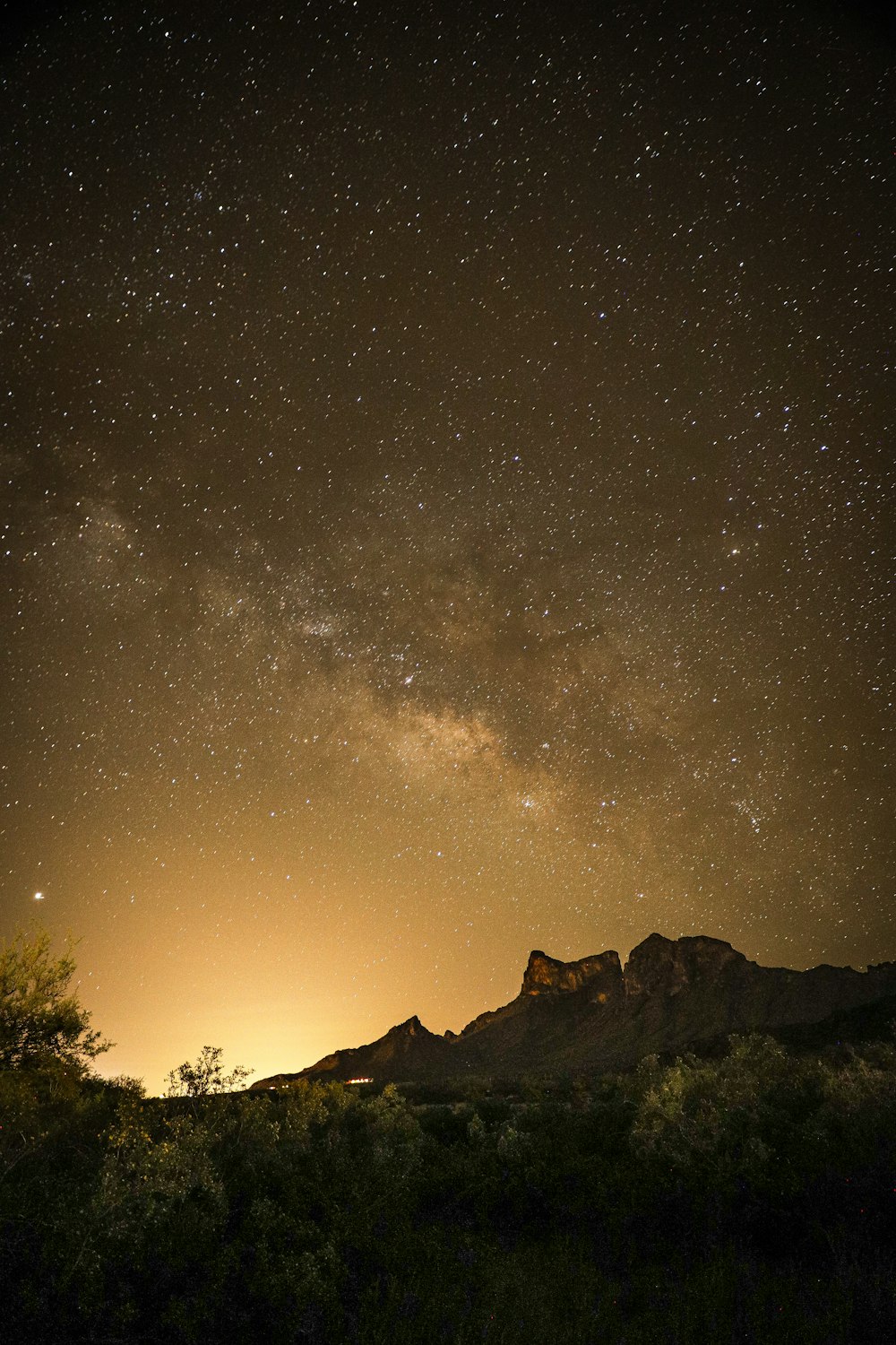 silhouette of trees and mountain under starry night