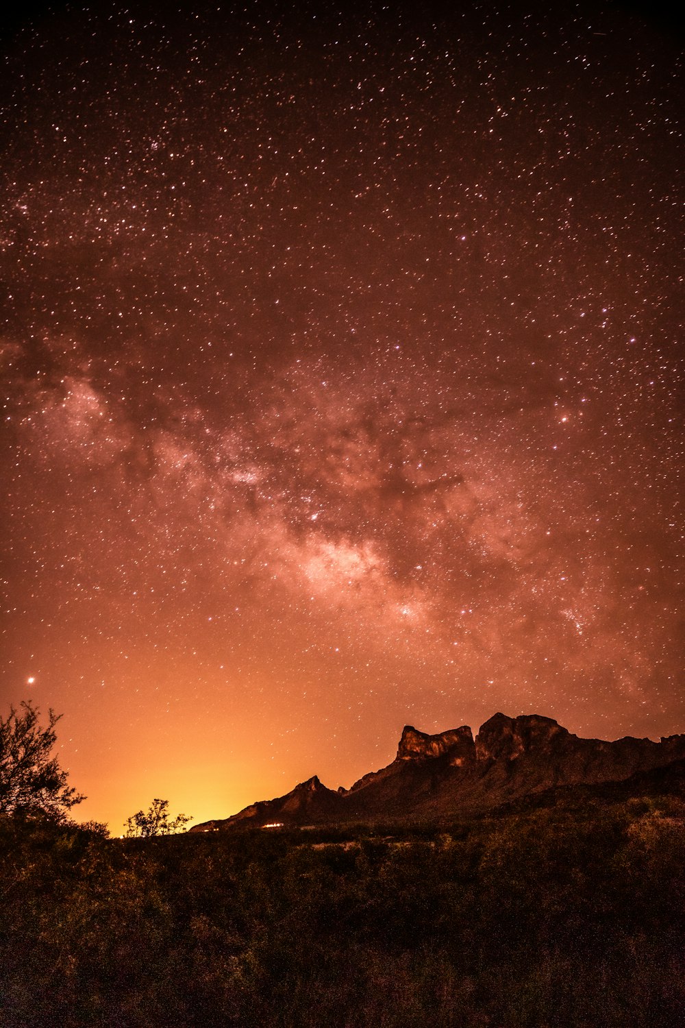 silhouette of trees and mountain under starry night