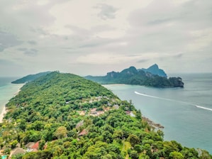 Tourists enjoying a guided island tour with a backdrop of lush greenery and blue skies.
