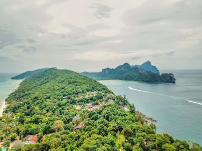 Tourists enjoying a guided island tour with a backdrop of lush greenery and blue skies.