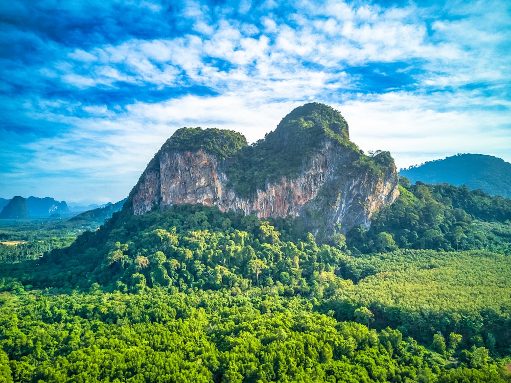 green trees on mountain under blue sky during daytime