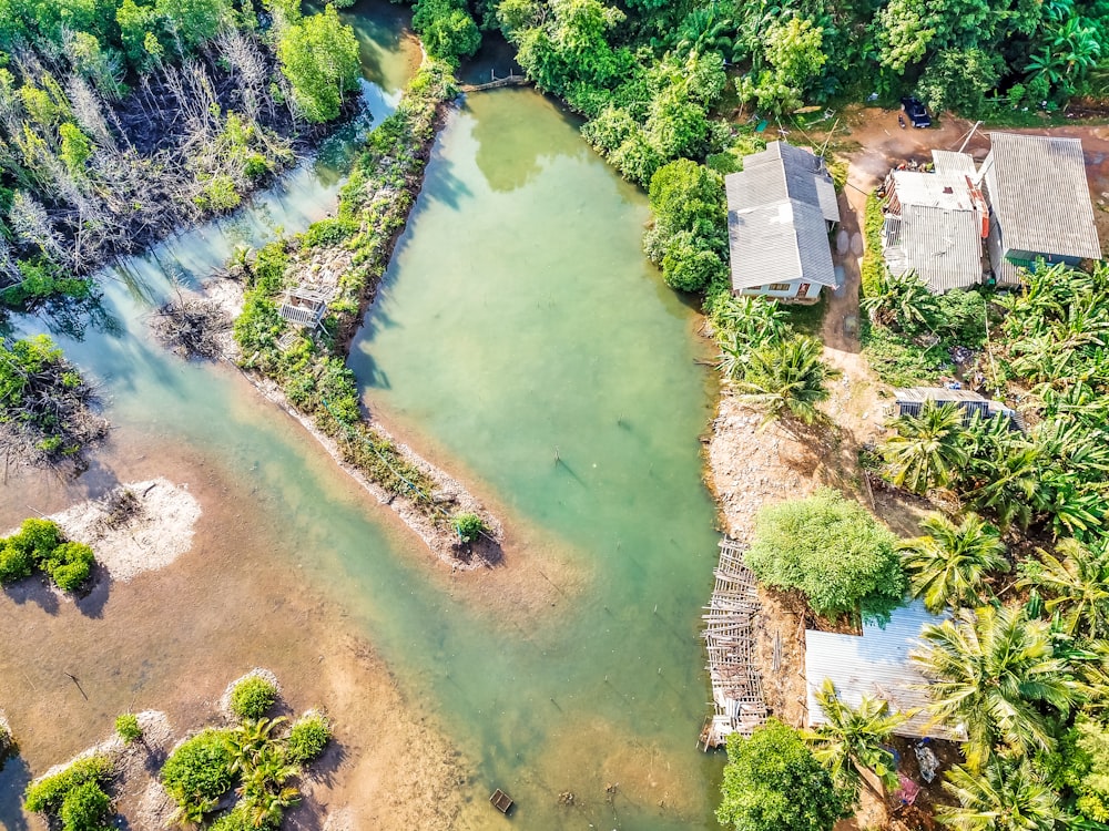 aerial view of river between green trees during daytime