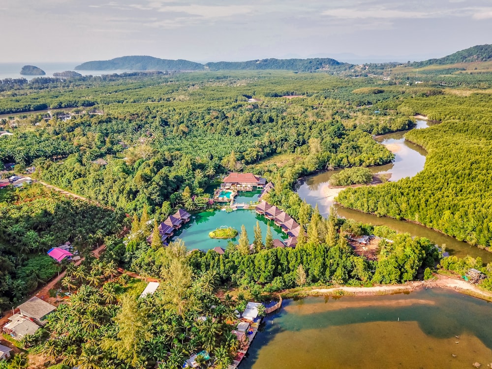 aerial view of green trees and river during daytime