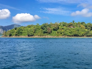 A lush green island is surrounded by a vibrant blue ocean. There are a few red-roofed buildings partially visible through the dense foliage. In the background, towering rocky mountains rise under a bright blue sky dotted with fluffy white clouds.