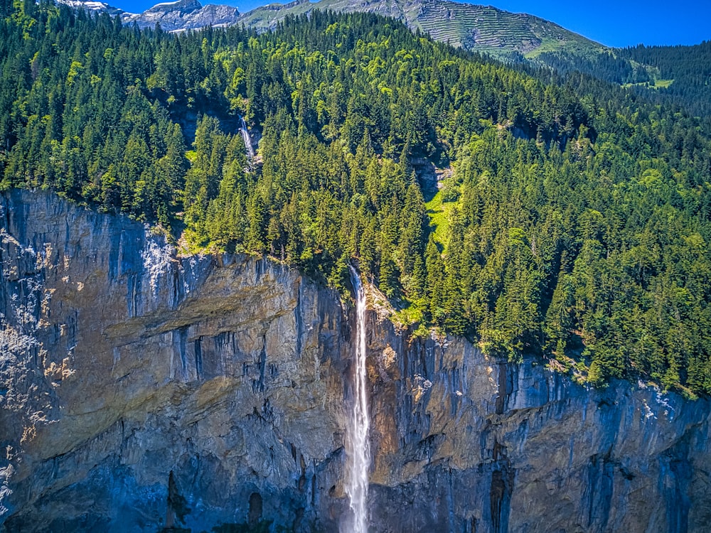 waterfalls in the middle of green trees