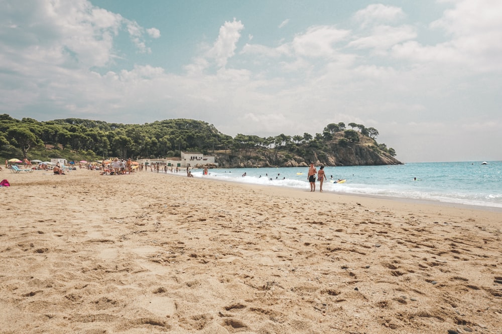 people on beach during daytime