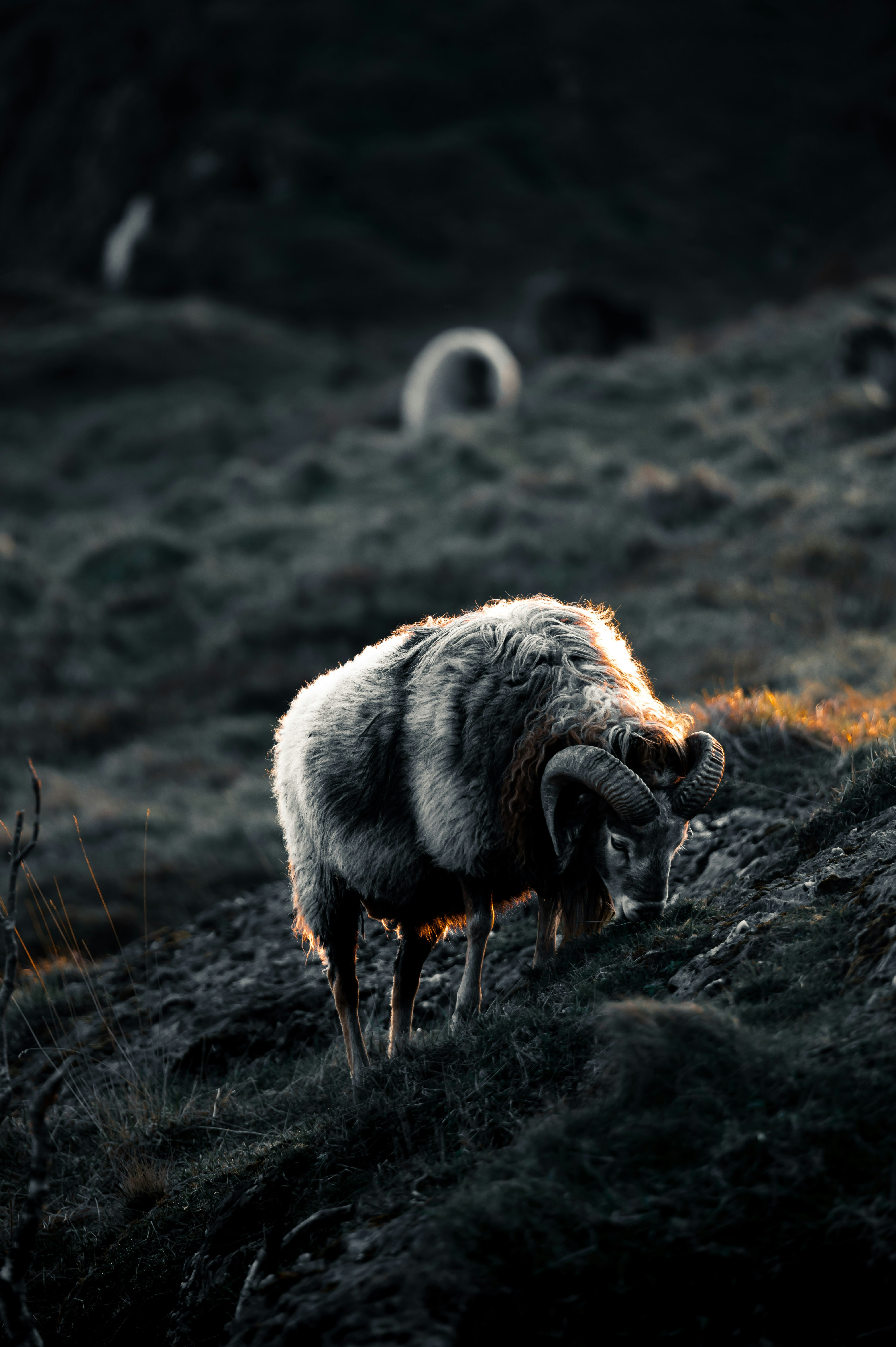 Photo by lachlangowen