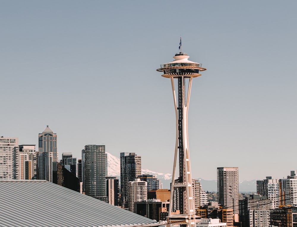 Space Needle Tower a New York City durante il giorno