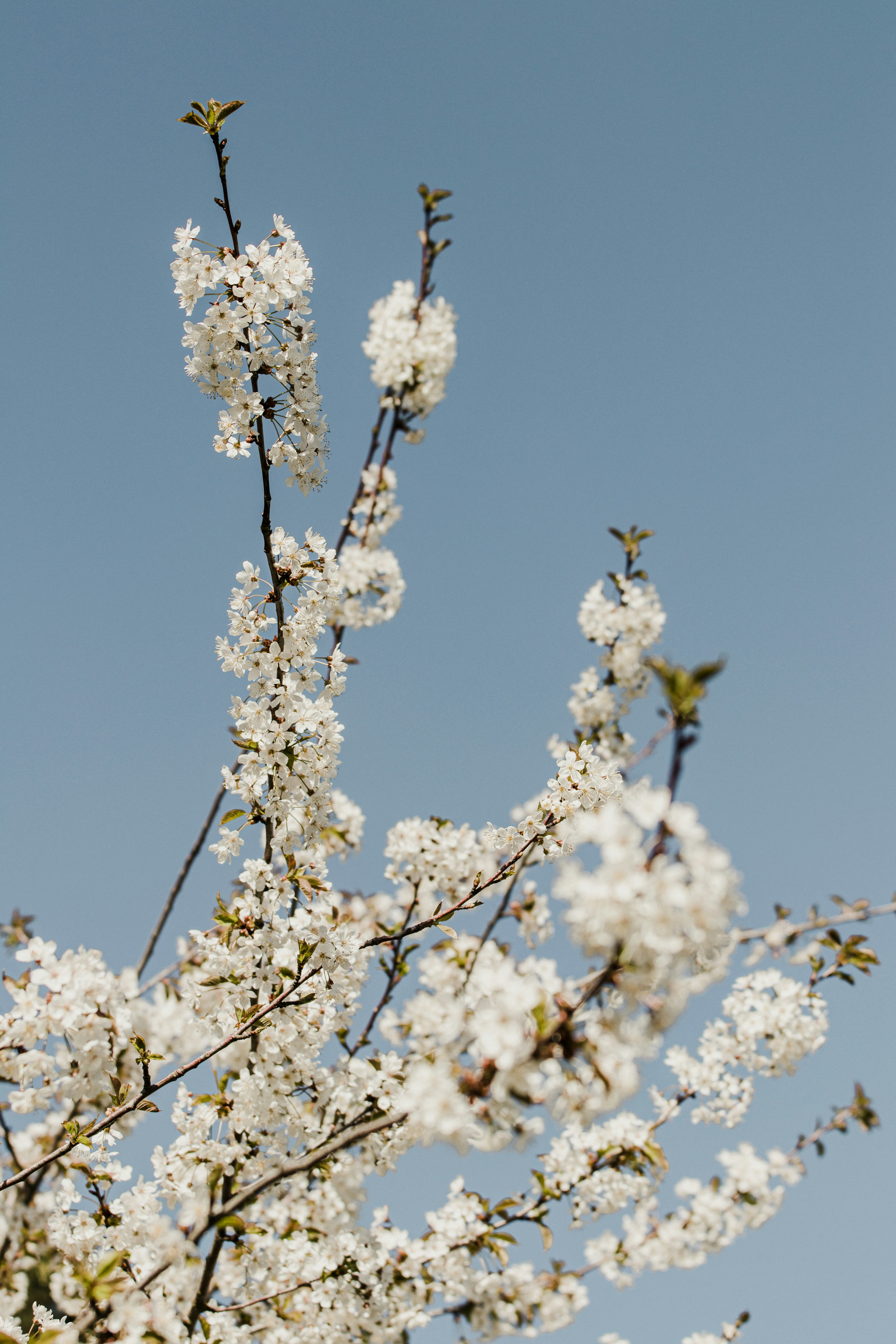 Photo by hiccupfromberk