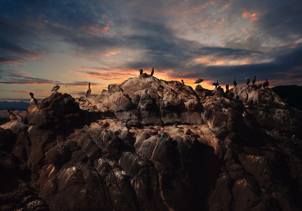 Silueta de la gente en la montaña rocosa durante la puesta del sol