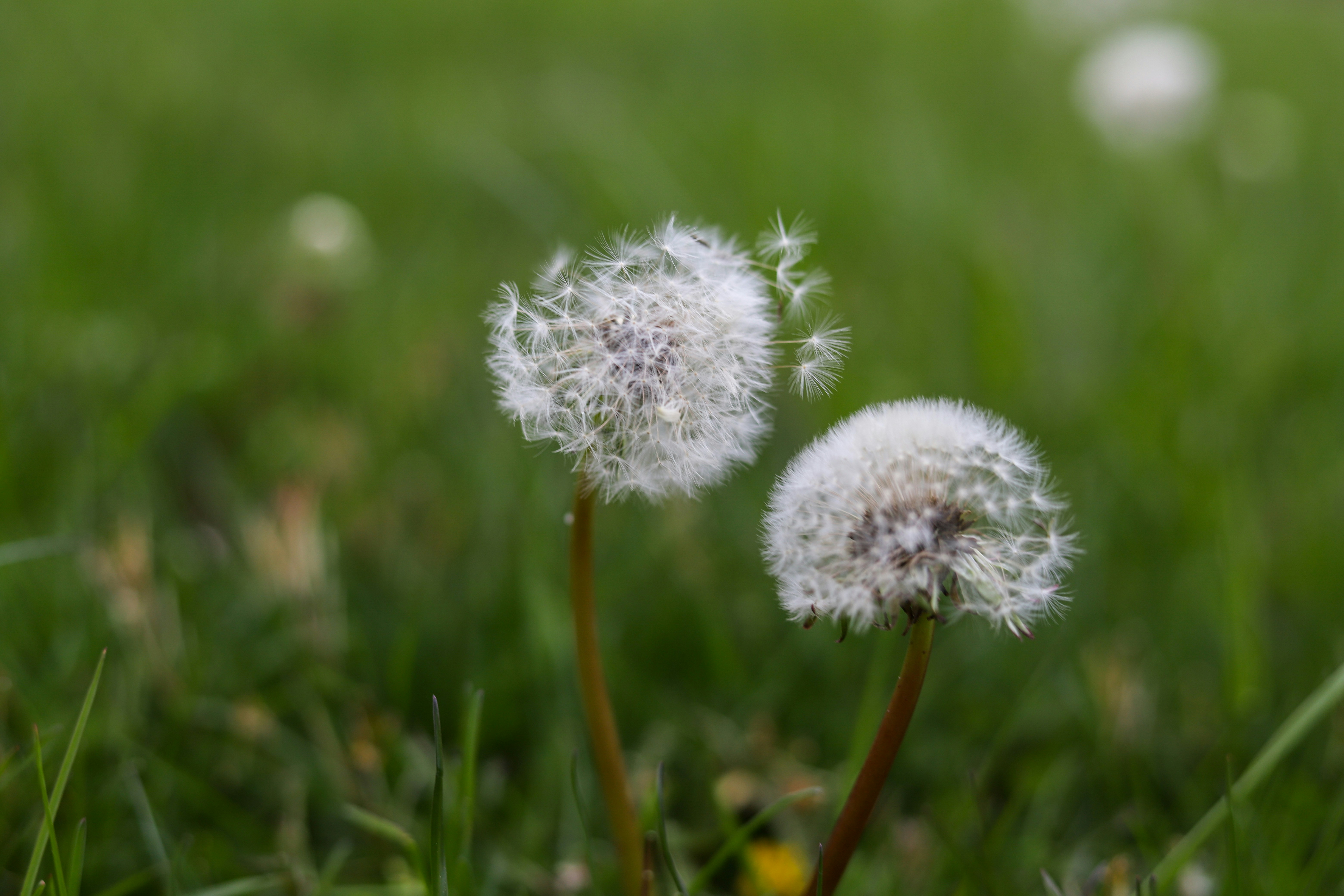 Photo by holliesantos