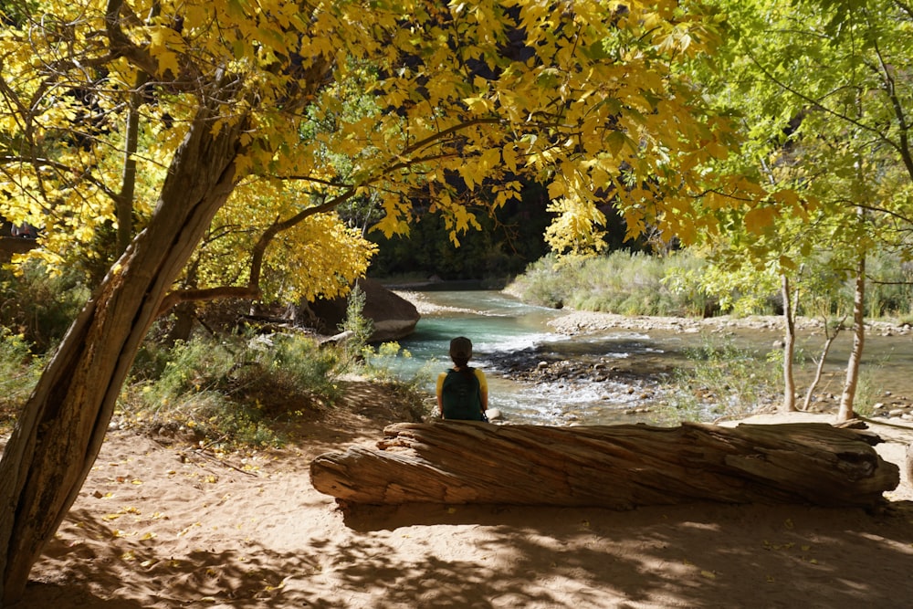 man sitting on brown log near body of water during daytime