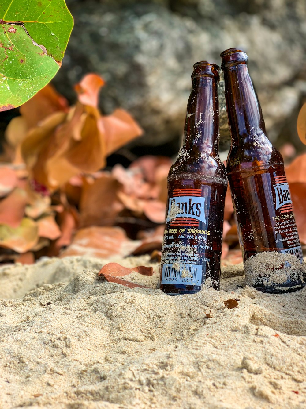 brown and blue labeled bottle on gray rock