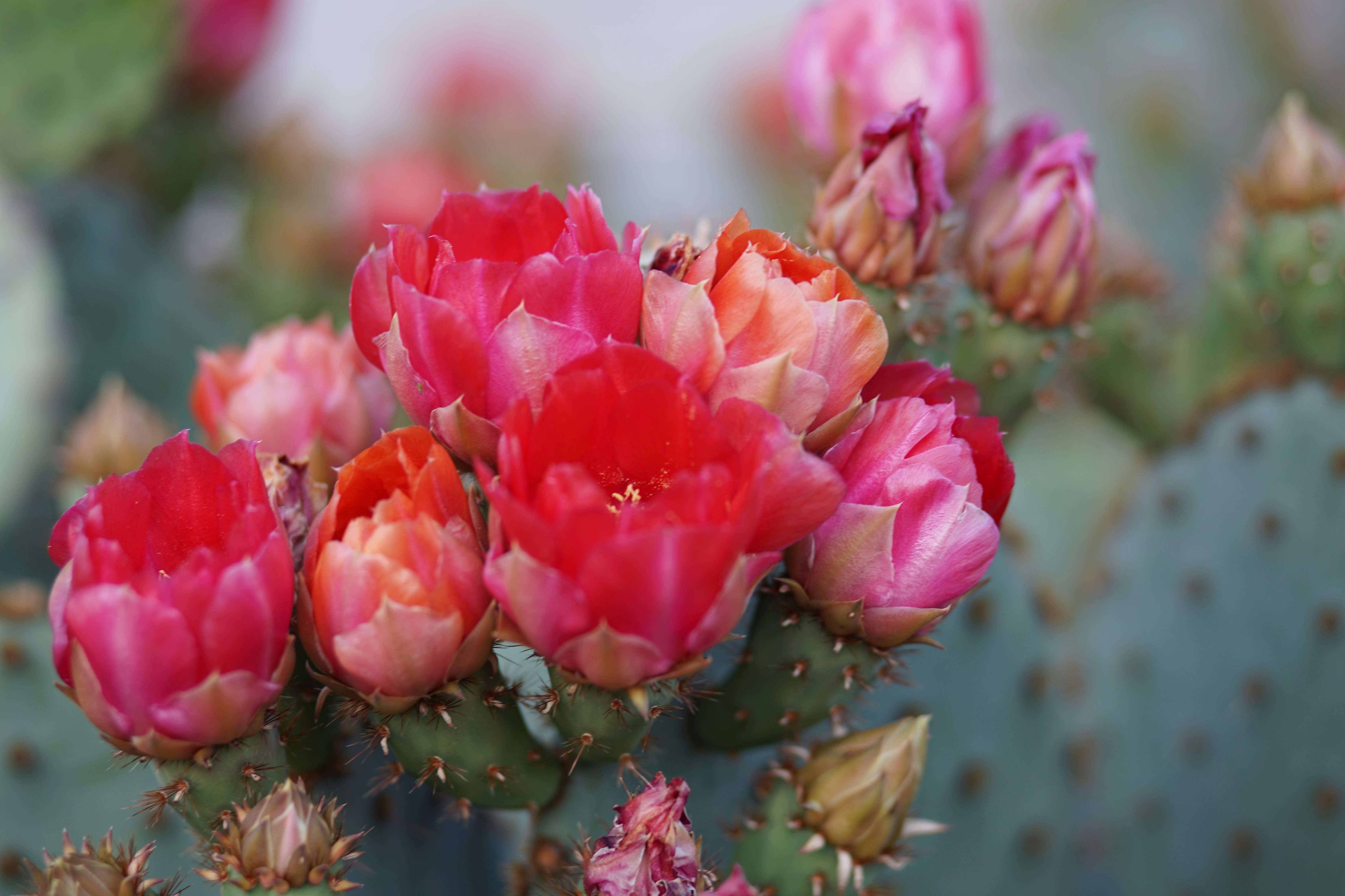 Photo by denisseleon