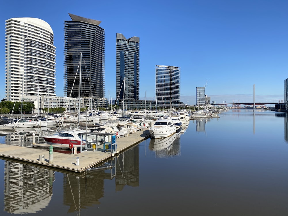 white and gray boats on body of water during daytime