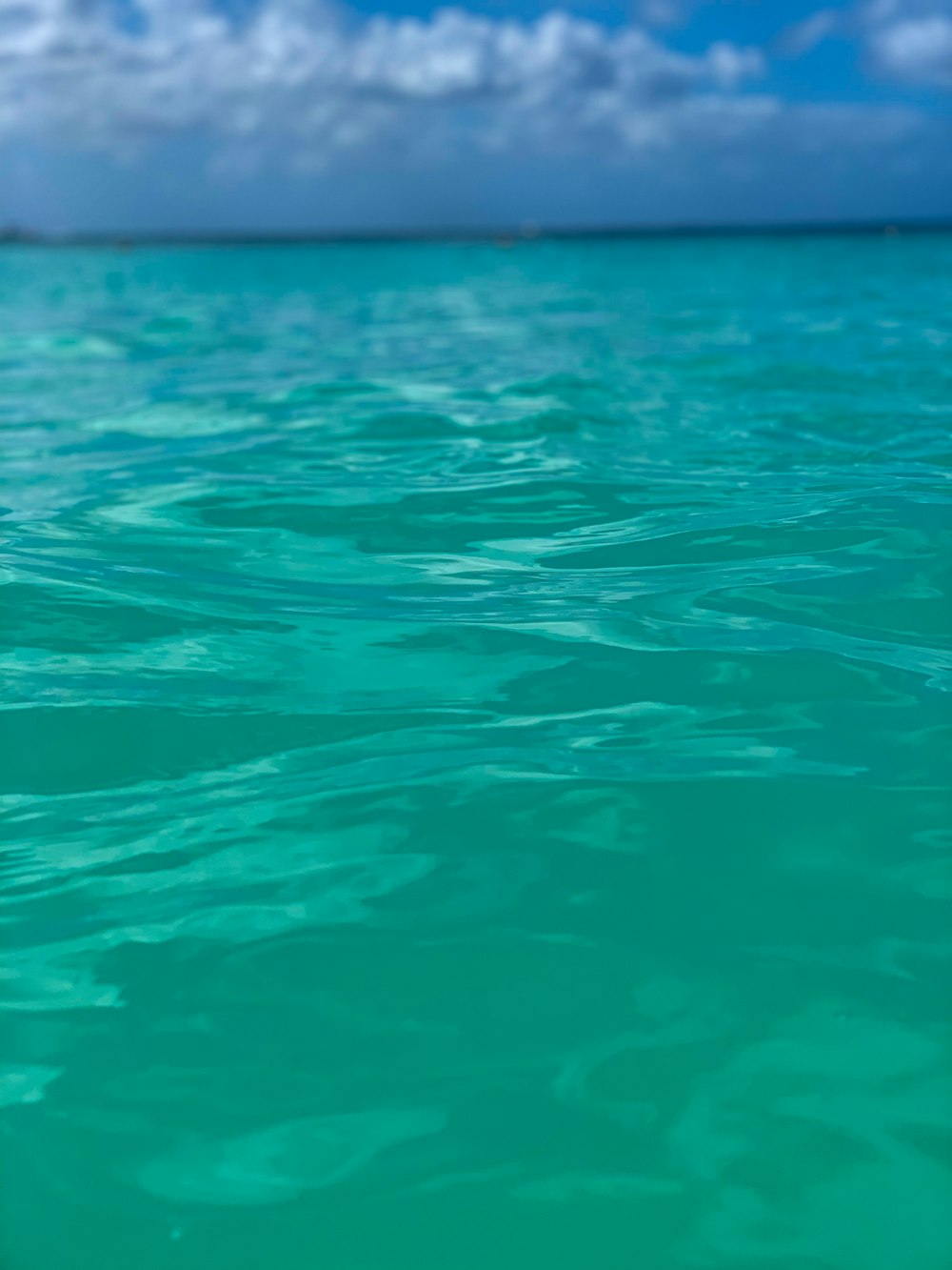 blue water in close up photography