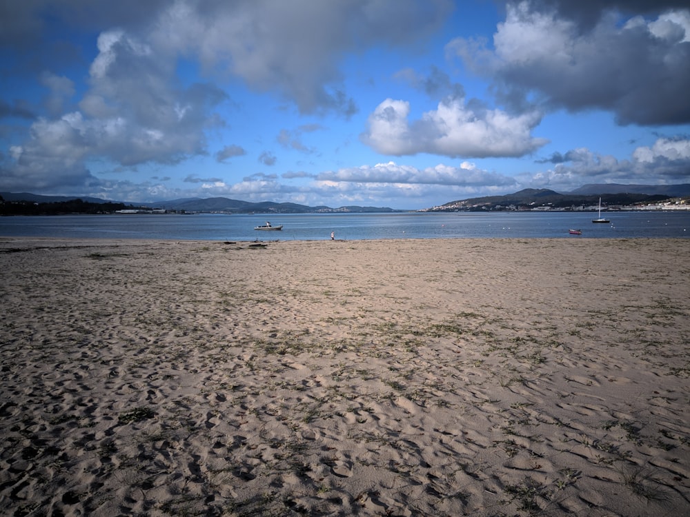 people on beach during daytime