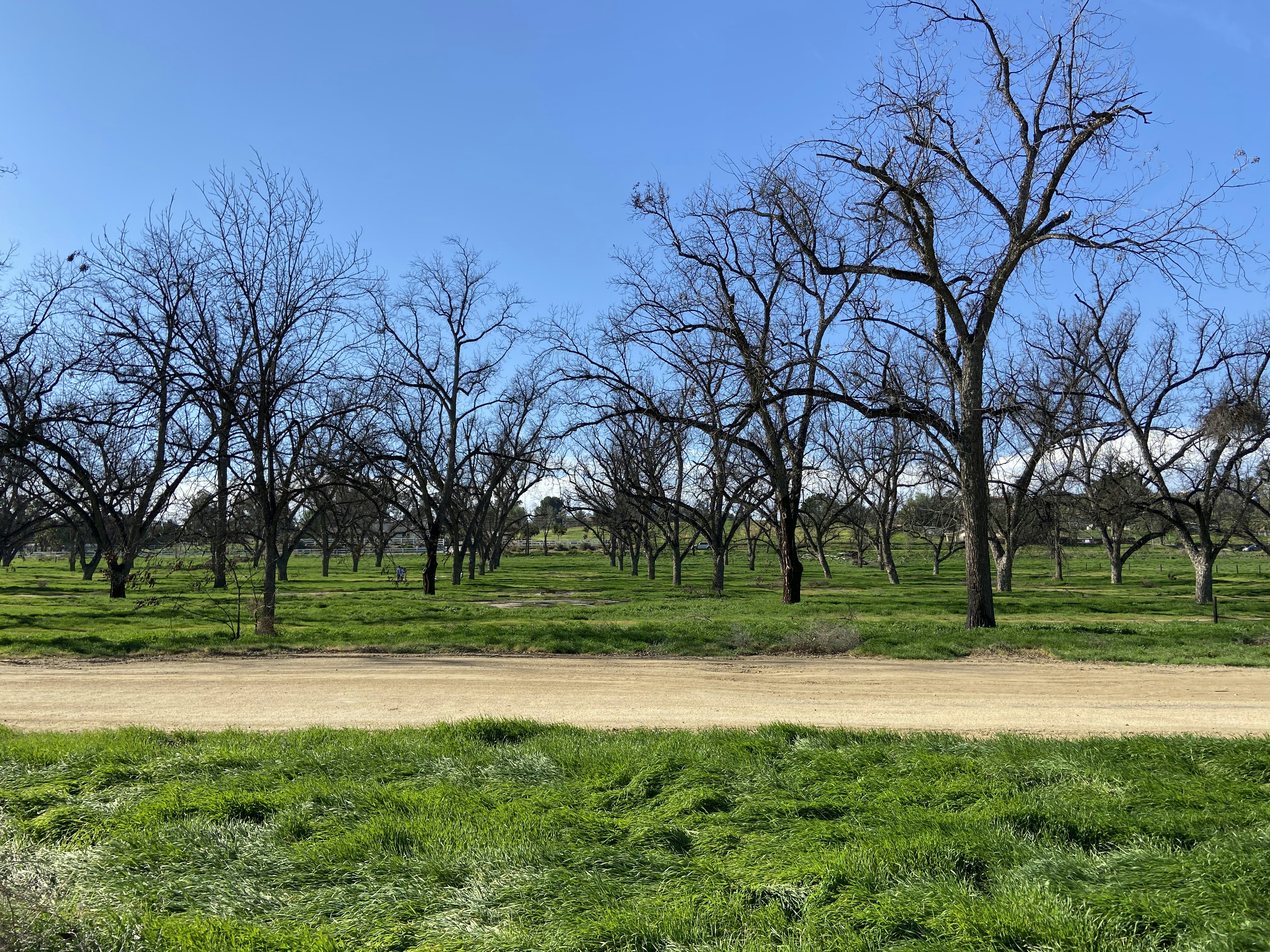 The 2 greenest hotels for your next trip to Jurupa Valley