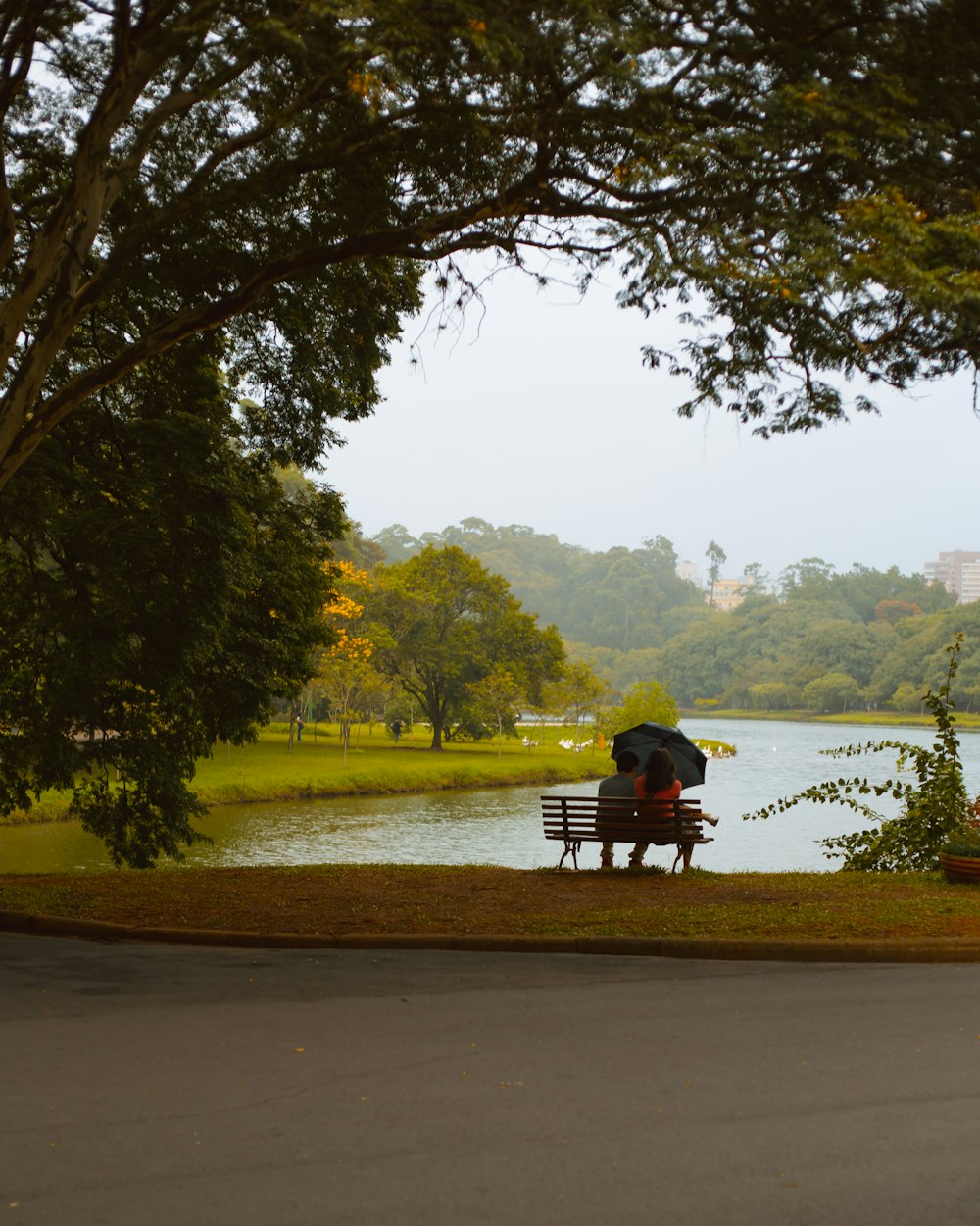 person sitting on bench near lake during daytime