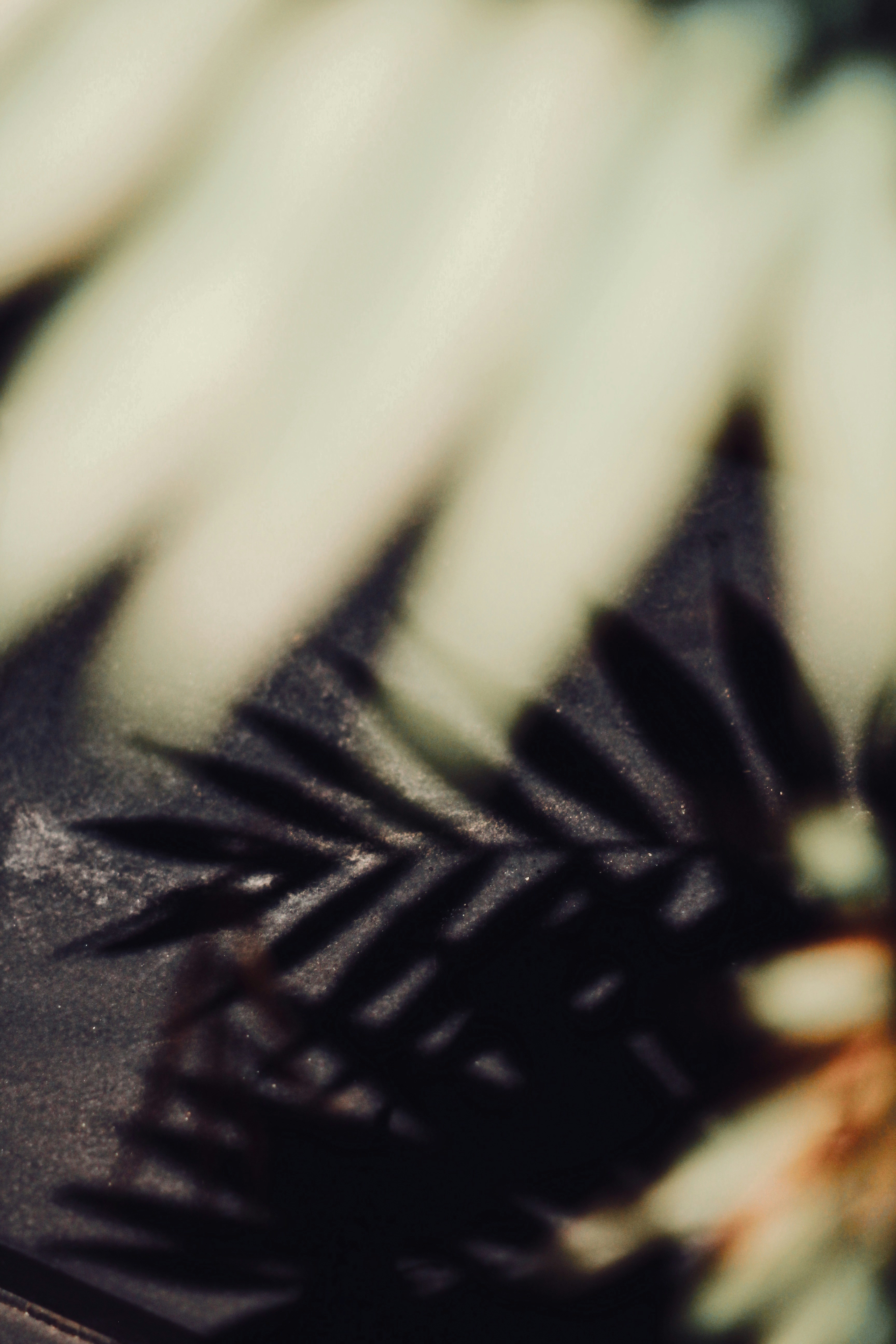 Photo by nathanareboucas