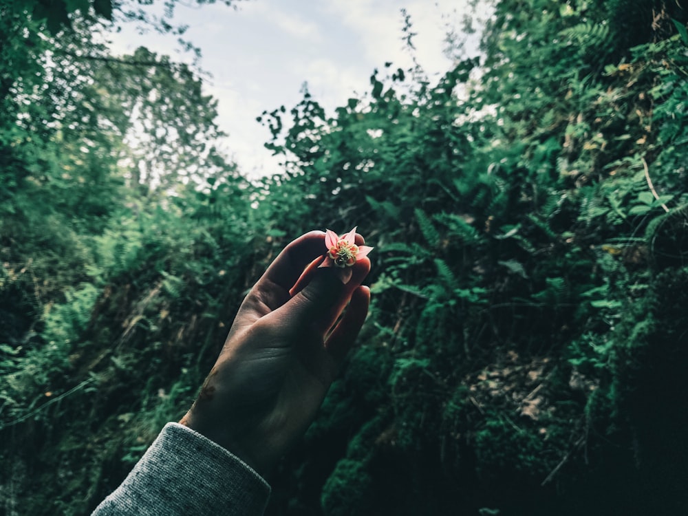 person holding red heart ornament