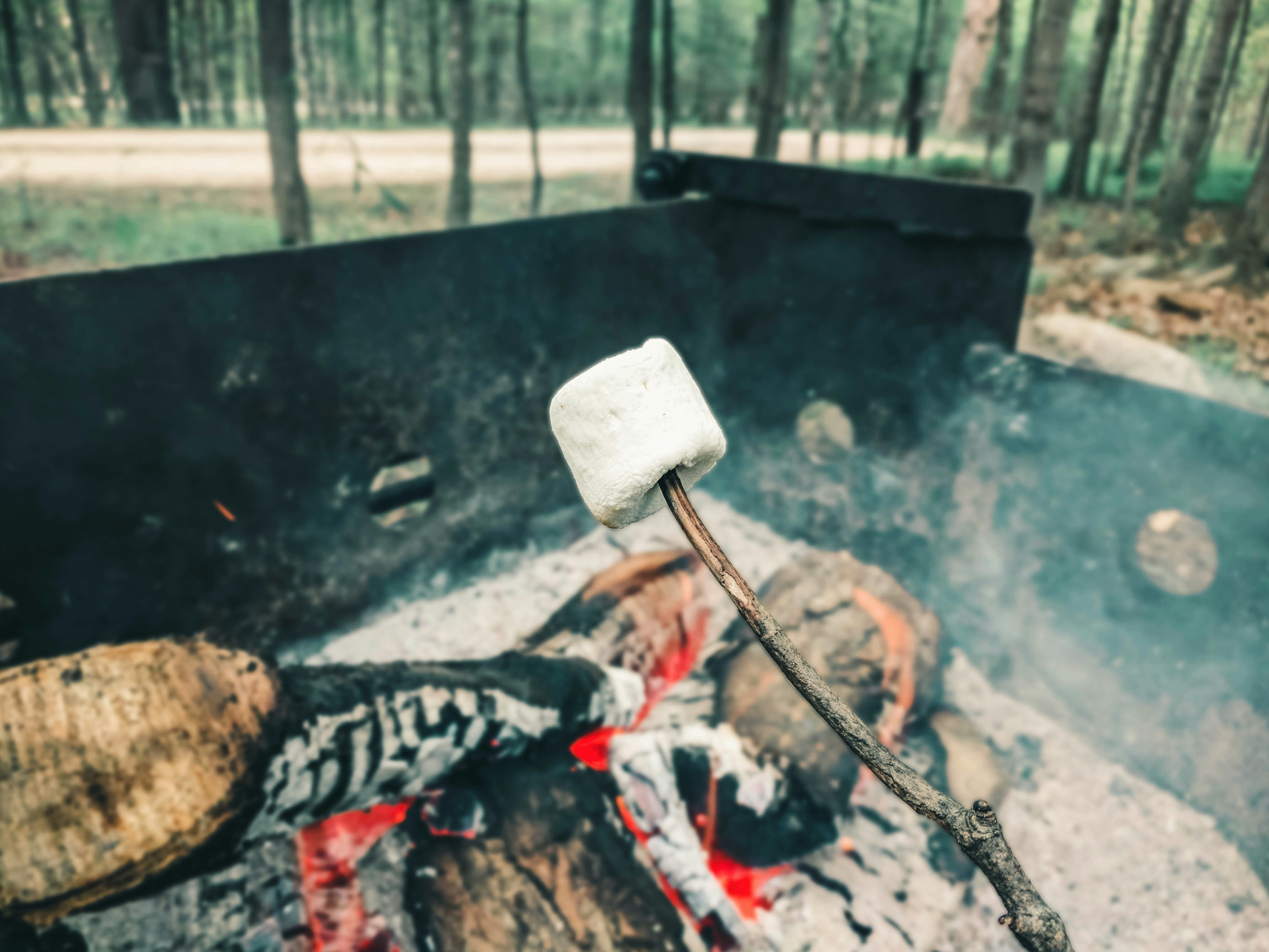Reusable Utensils for Camping: Eco-Friendly Choices