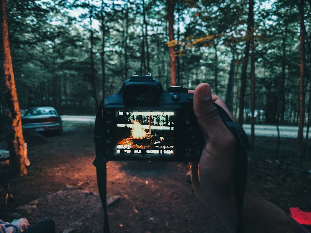 a person taking a picture of a fire in the woods