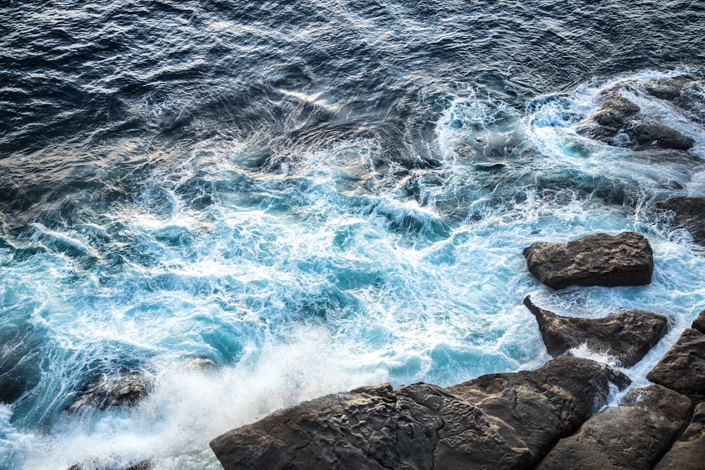 brown and white water waves