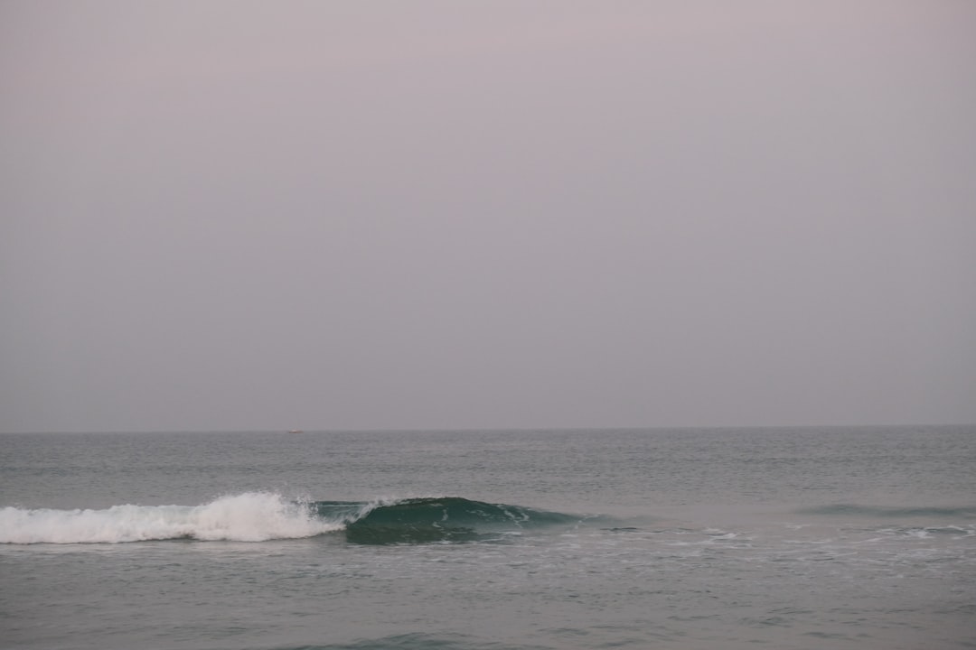 photo of Benaulim Shore near Chapora Fort