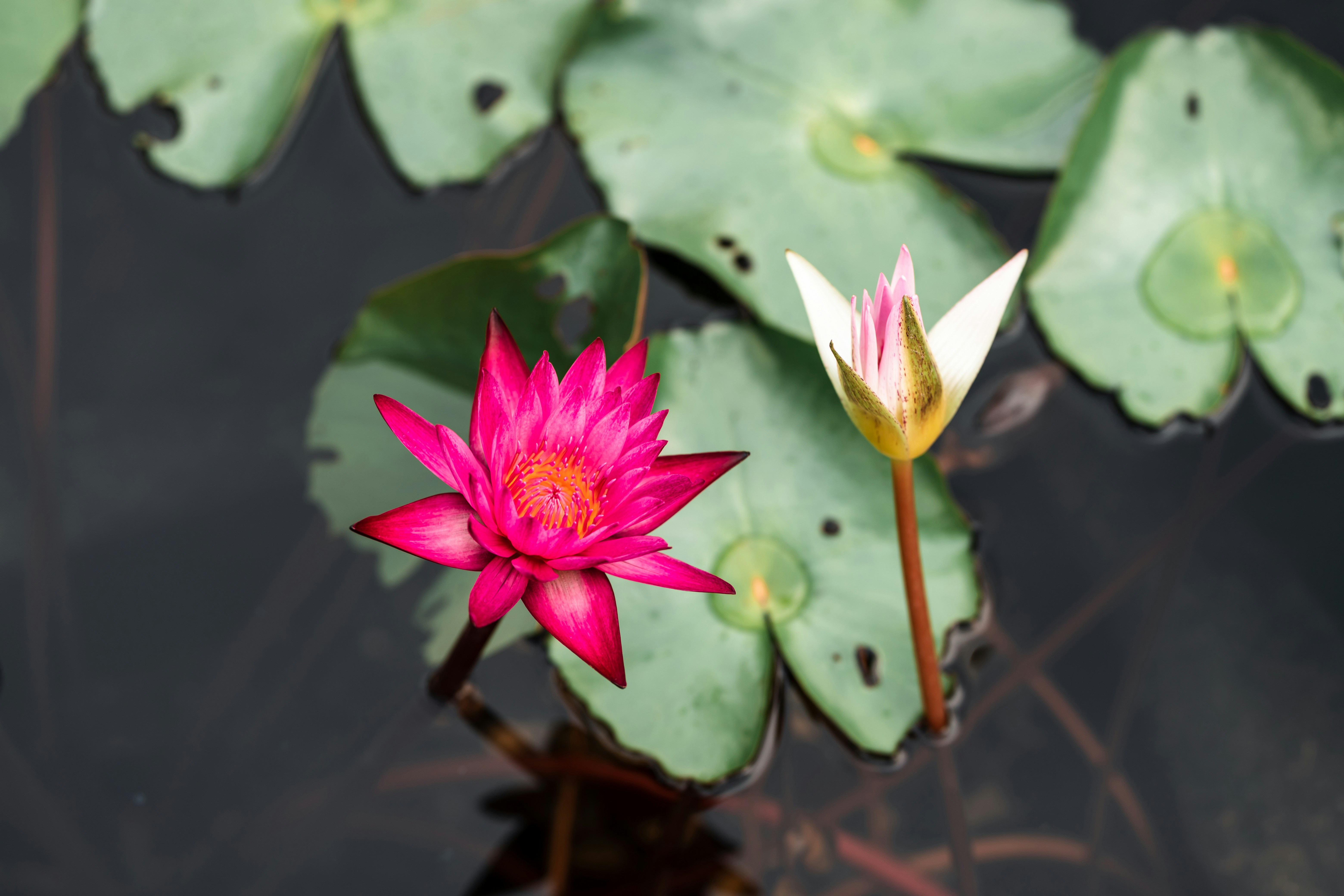 Photo by wgzhai