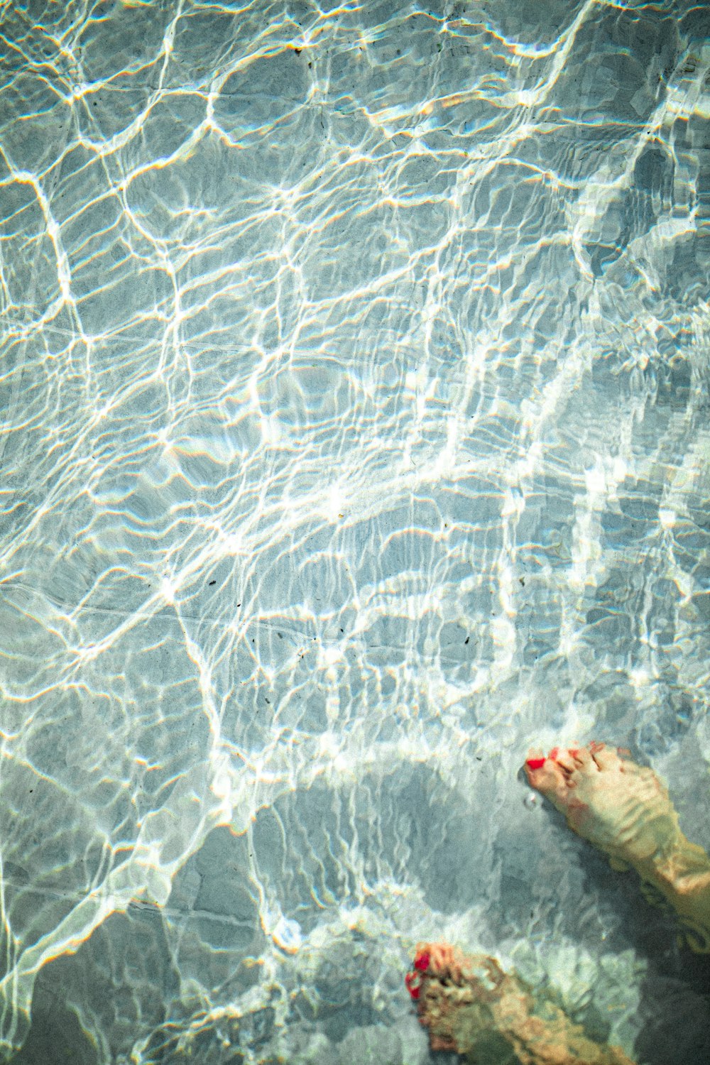 person in water with white and red fish