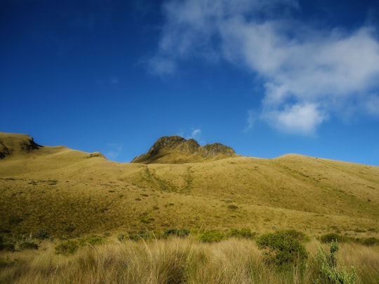 green grass field and mountain under blue sky during daytime in Mojanda Ecuador