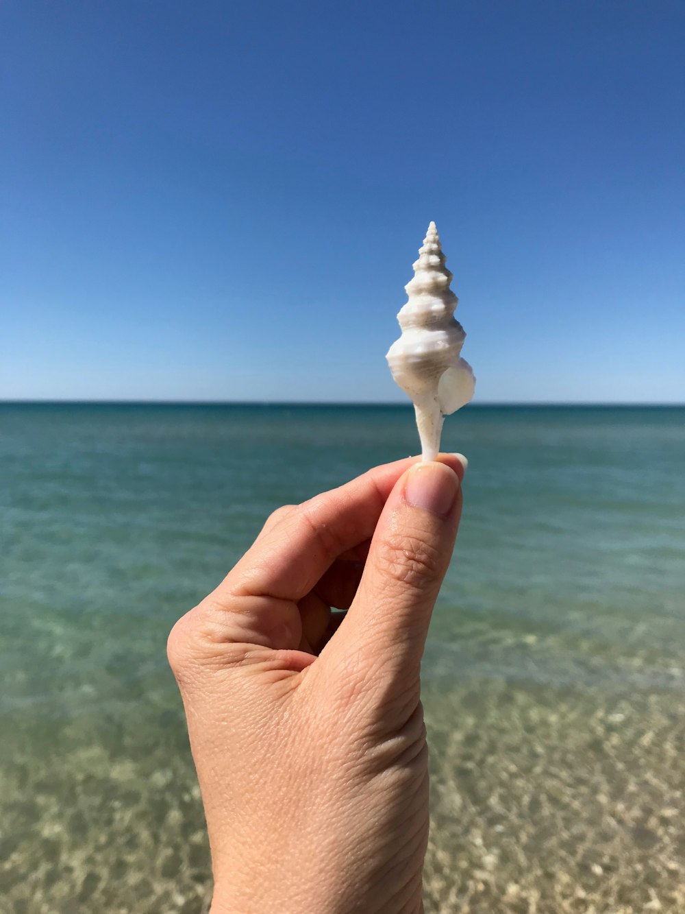 person holding white ice cream