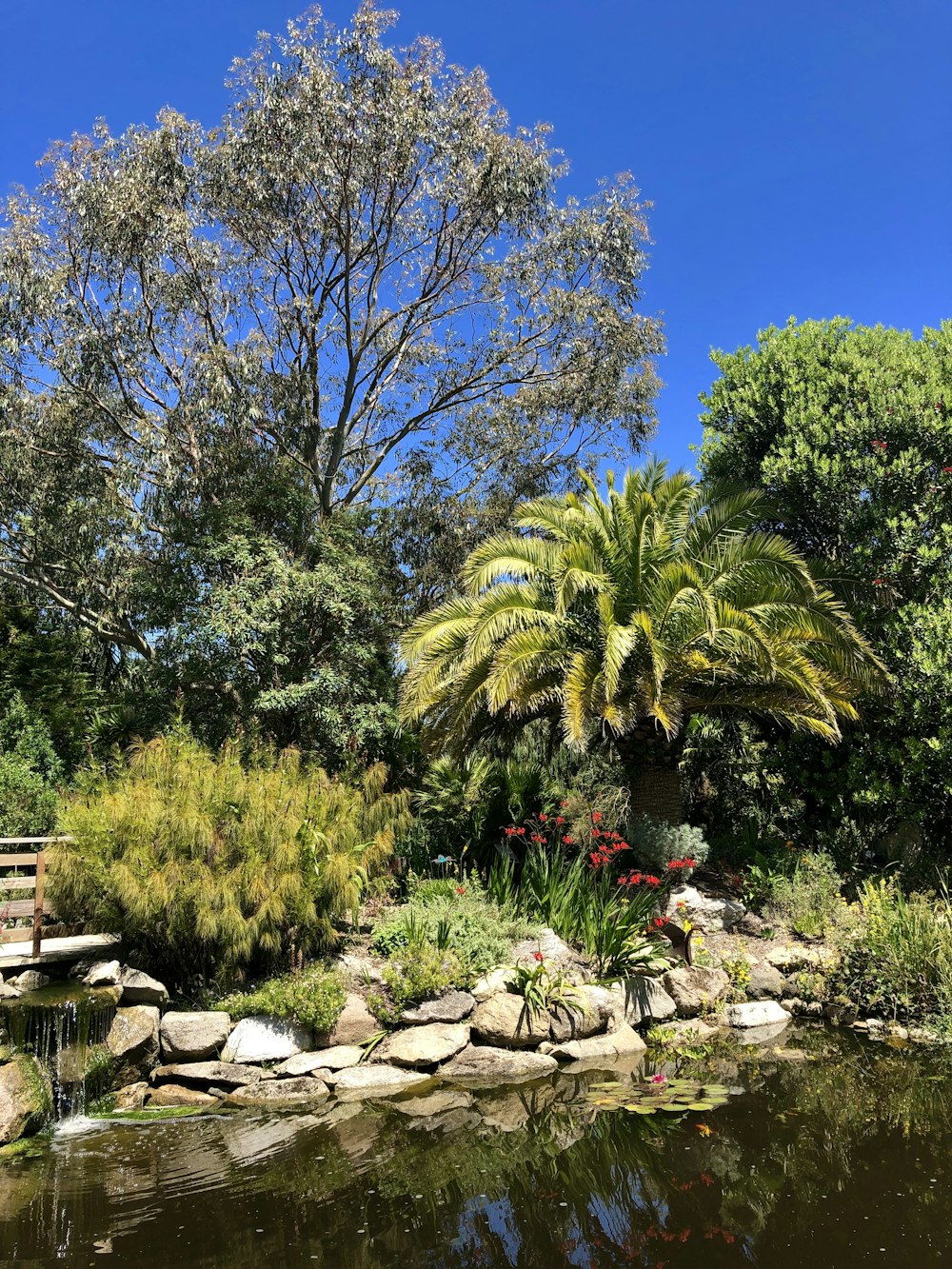 green trees and plants on the ground